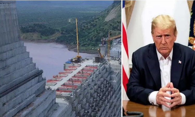 تصريحات ترامب عن سد النهضة، فيتو