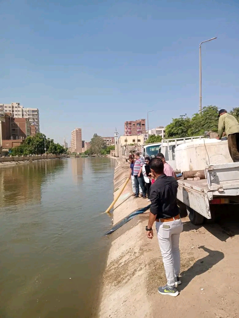 800 ألف زريعة لتنمية الثروة السمكية في الشرقية.. دفعة جديدة من المبروك والبلطي ببحر مويس وأبو الأخضر،فيتو