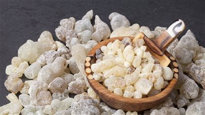 فوائد اللبان الدكر للصحة