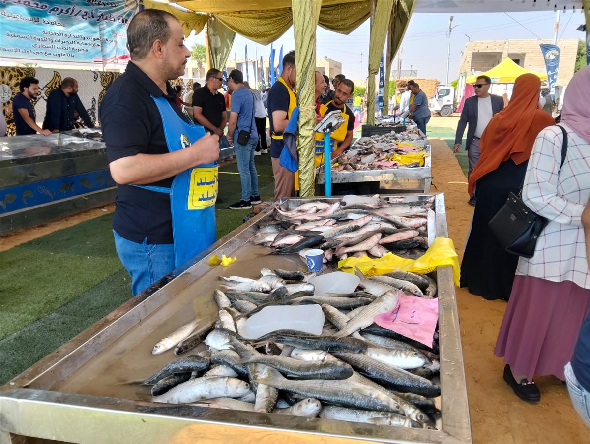 جانب من فعاليات المبادرة، فيتو