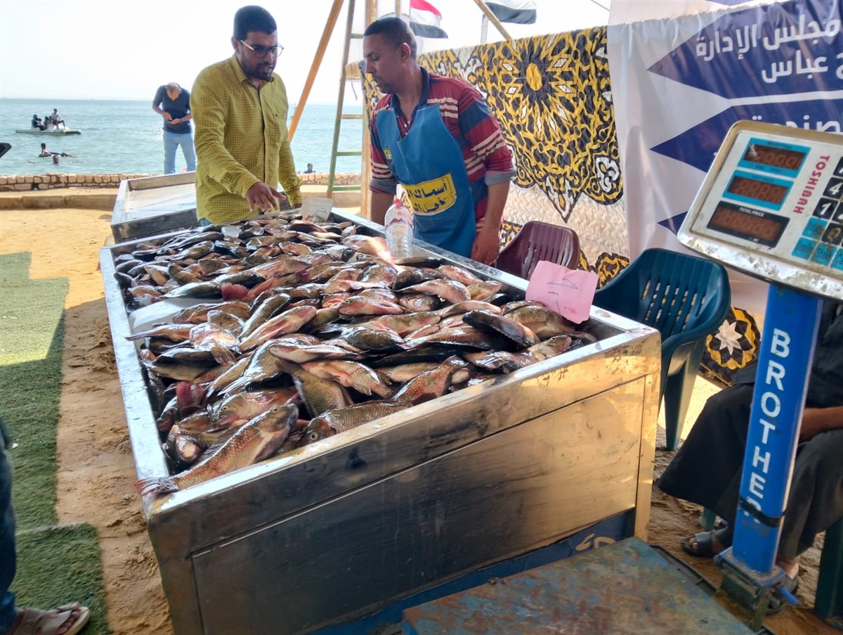 جانب من فعاليات المبادرة، فيتو