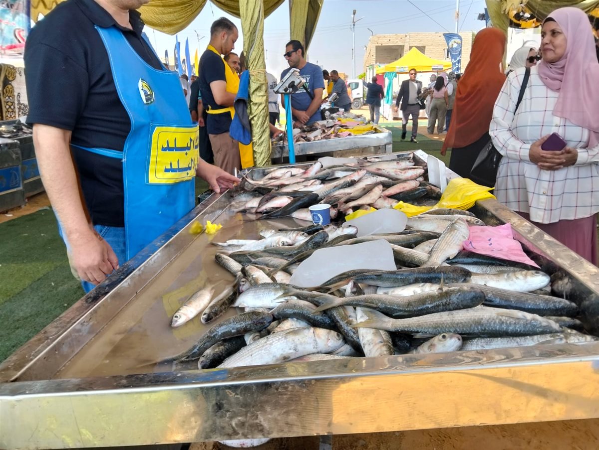 جانب من فعاليات المبادرة، فيتو