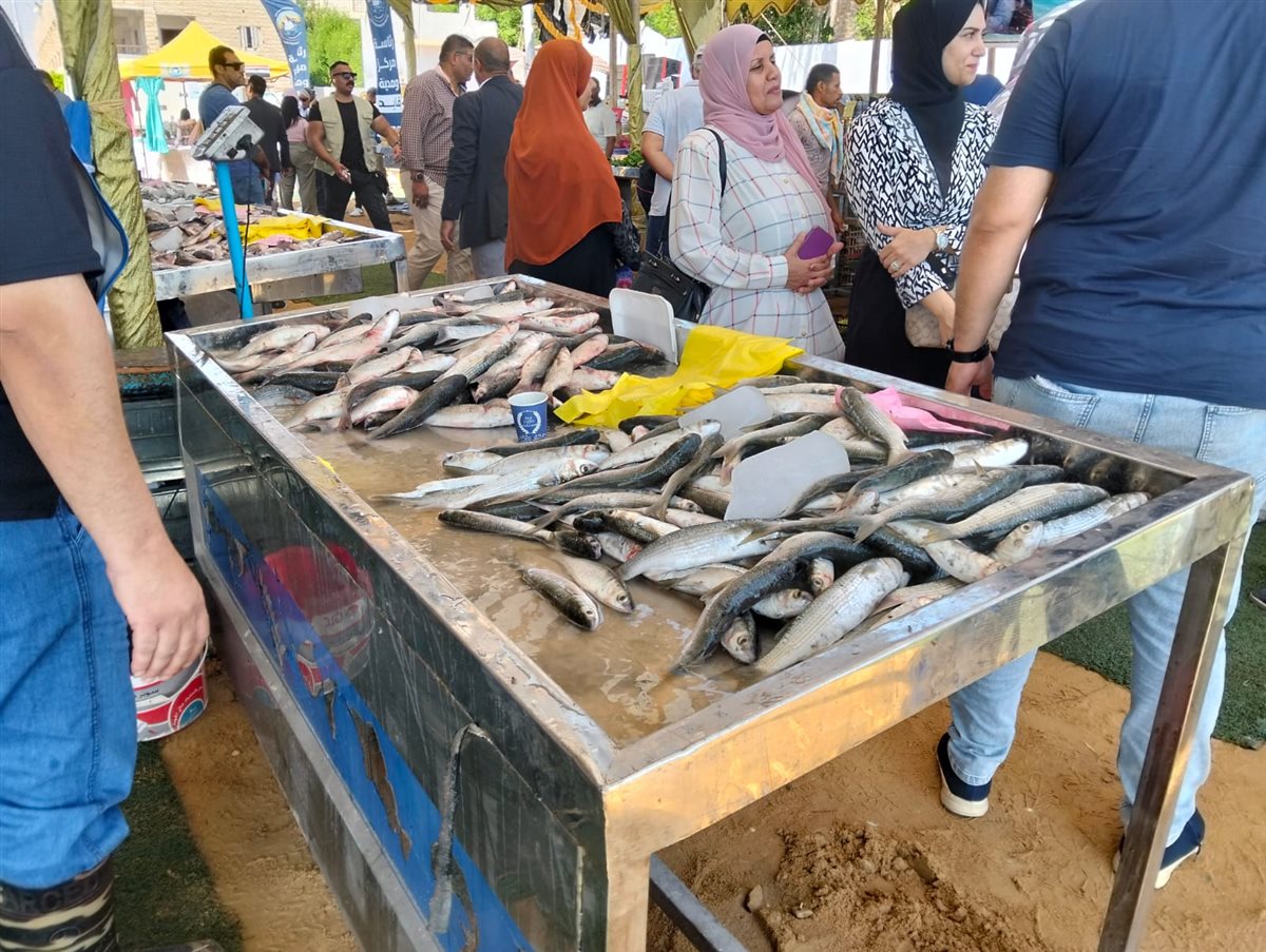 جانب من فعاليات المبادرة، فيتو