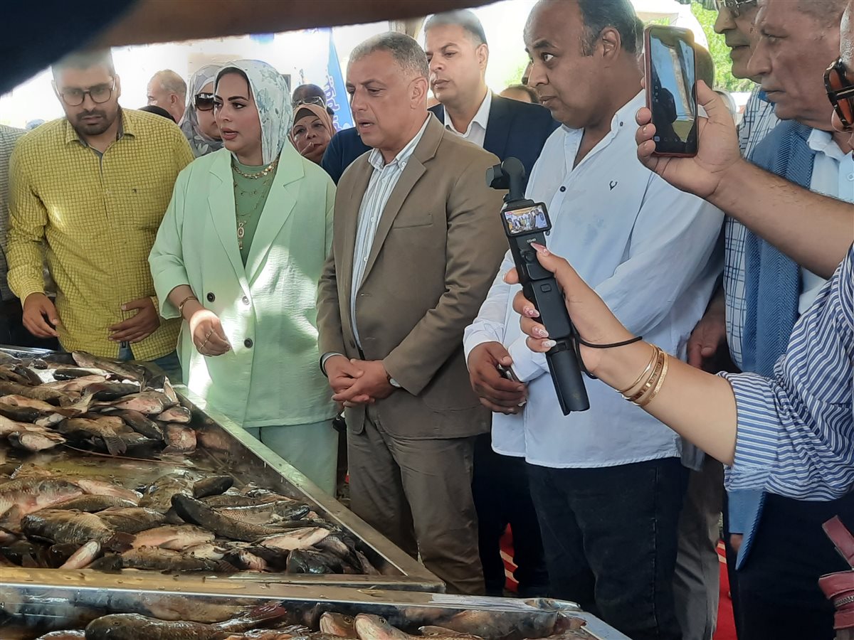 جانب من الافتتاح،فيتو