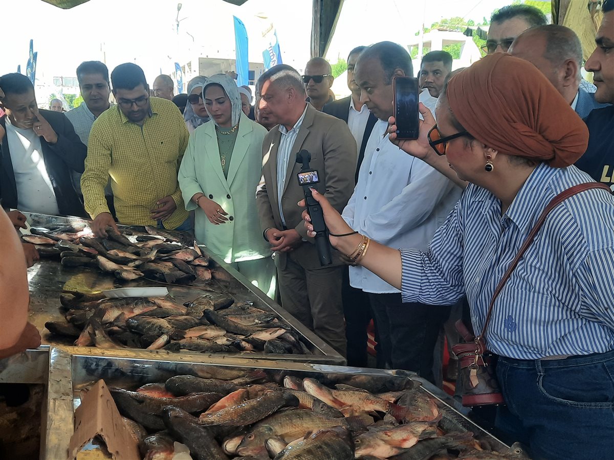 جانب من الافتتاح،فيتو