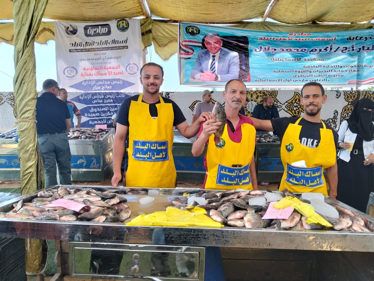 جانب من فعاليات المبادرة، فيتو