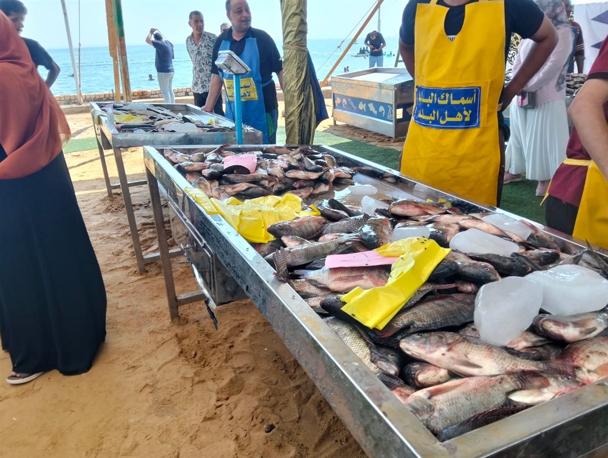 جانب من فعاليات المبادرة، فيتو