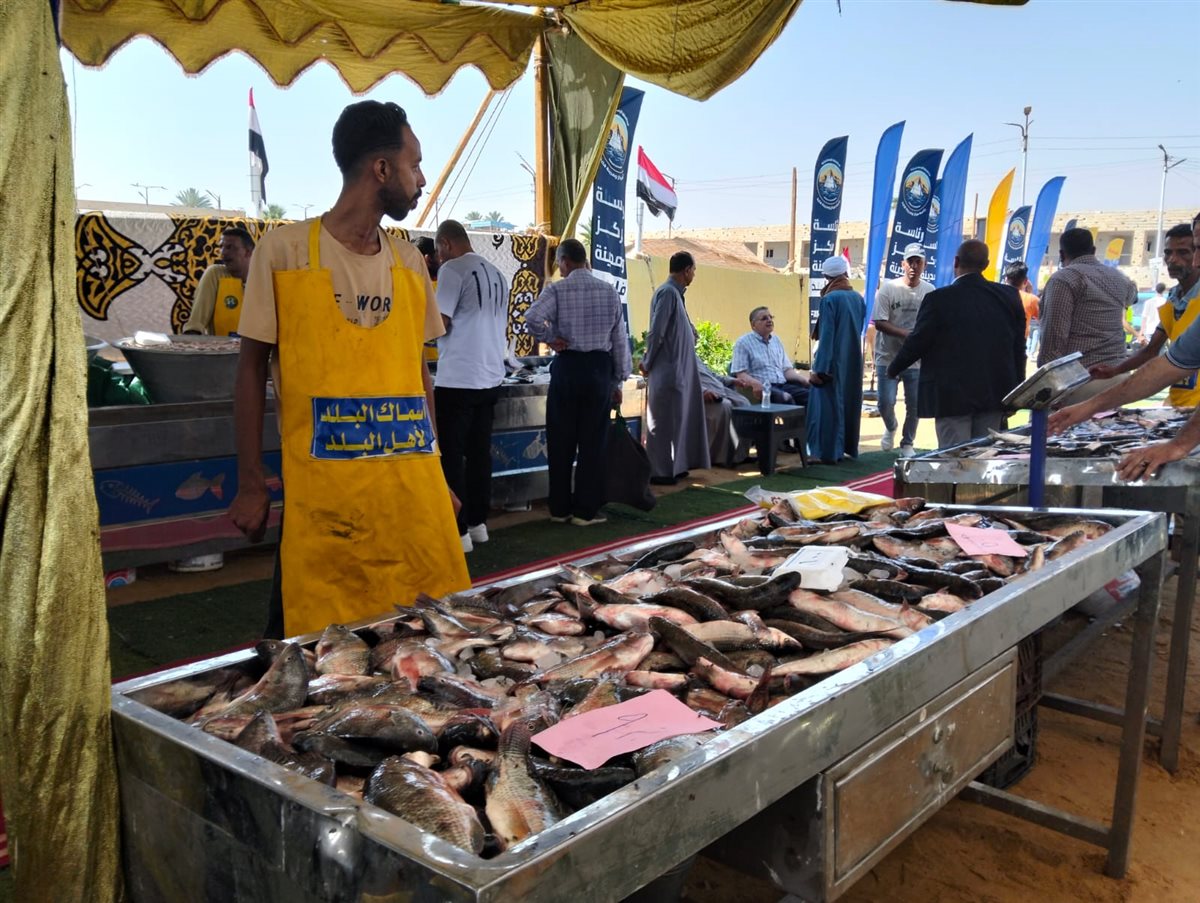 جانب من فعاليات المبادرة، فيتو