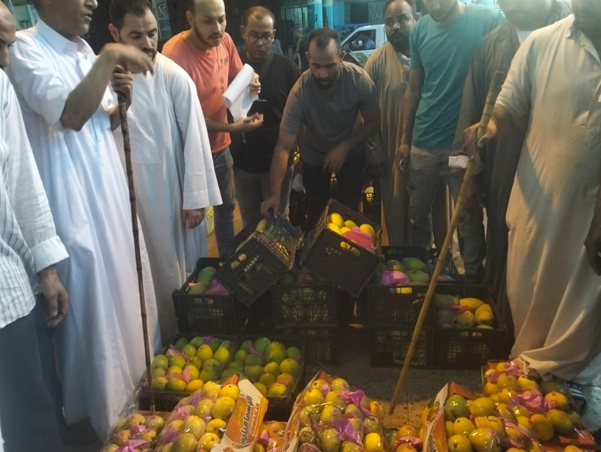 مزاد المانجو بسوق المستقبل بالإسماعيلية، فيتو