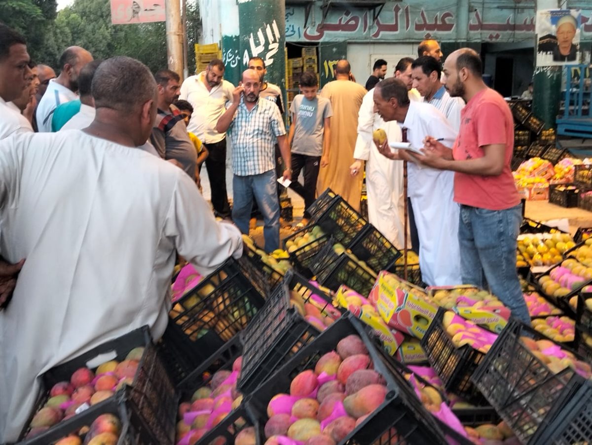 مزاد المانجو بسوق المستقبل بالإسماعيلية، فيتو