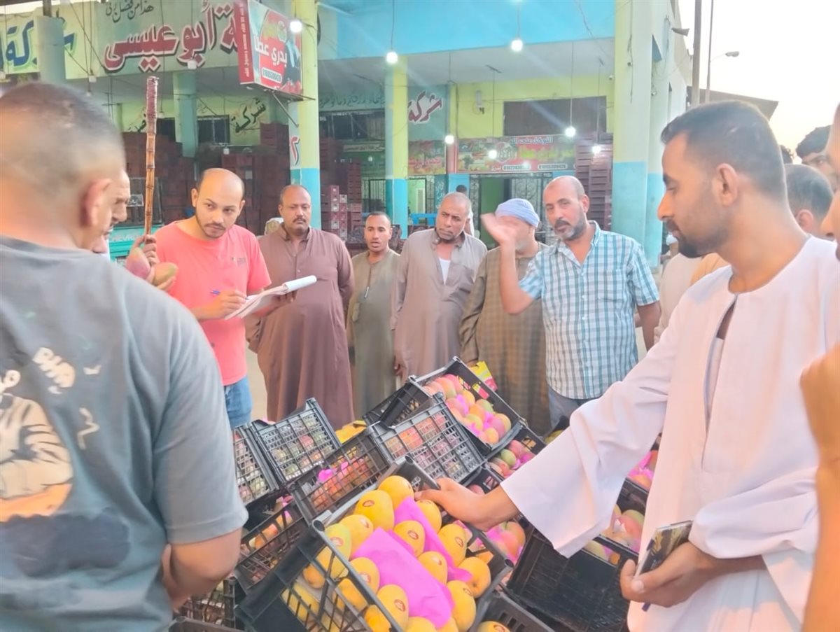 مزاد المانجو بسوق المستقبل بالإسماعيلية، فيتو