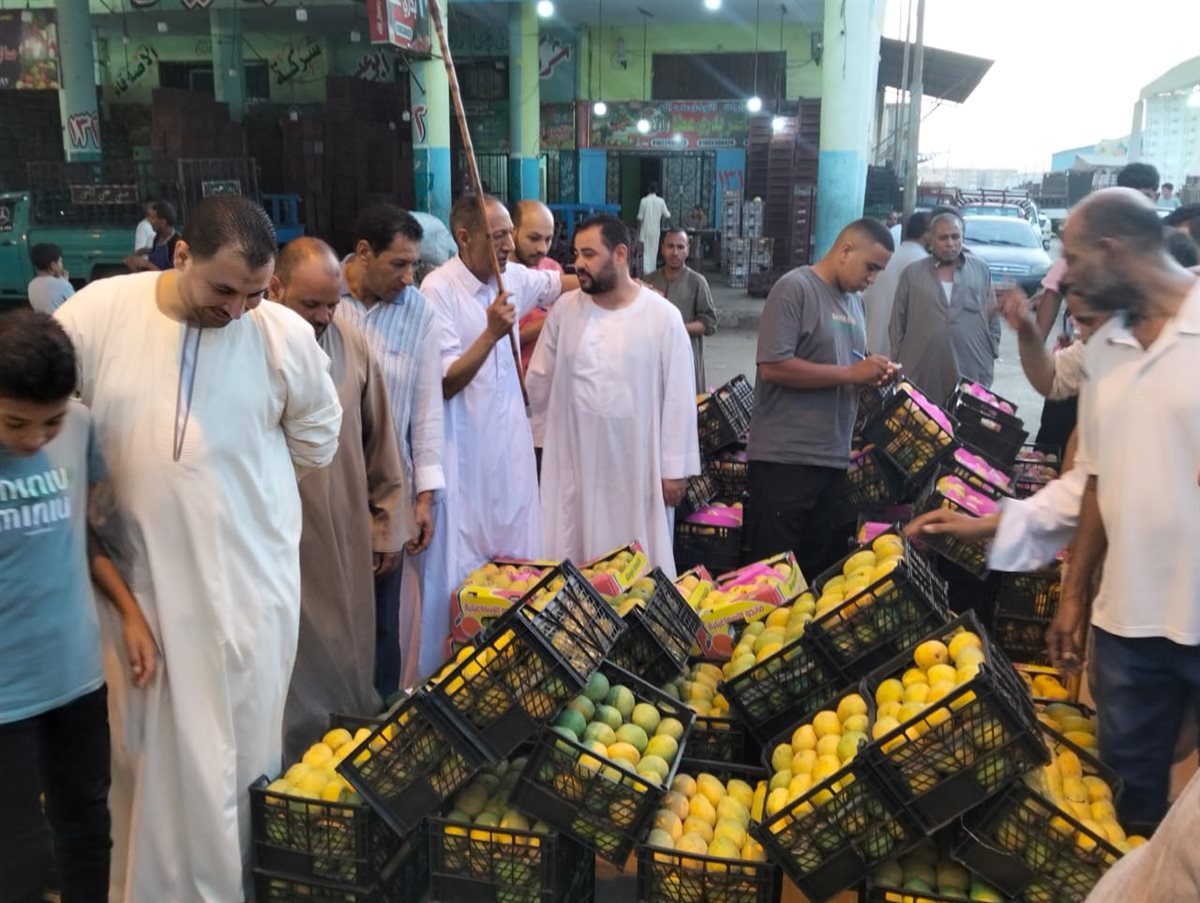 مزاد المانجو بسوق المستقبل بالإسماعيلية، فيتو