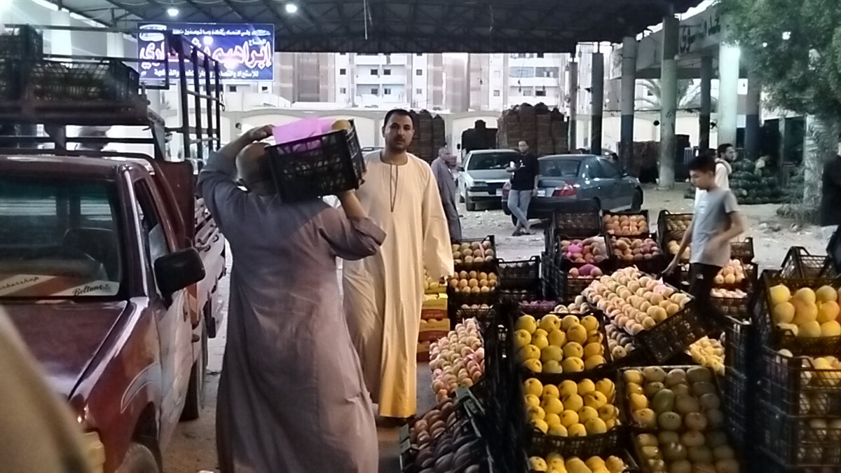 مزاد المانجو بسوق المستقبل بالإسماعيلية، فيتو