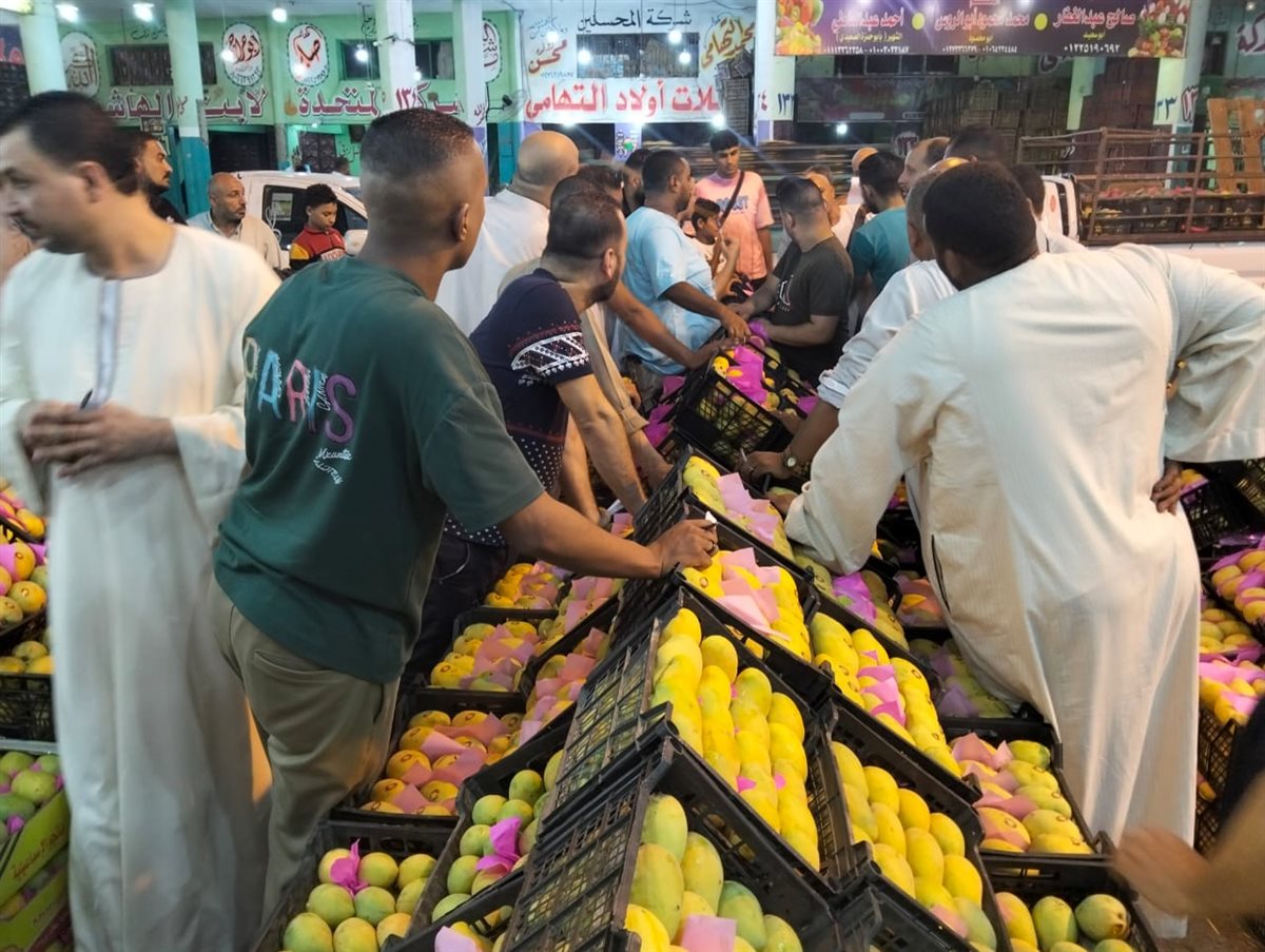مزاد المانجو بسوق المستقبل بالإسماعيلية، فيتو