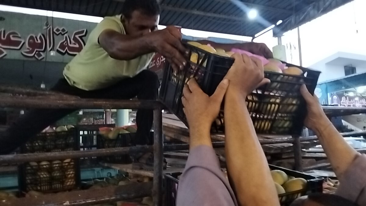 مزاد المانجو بسوق المستقبل بالإسماعيلية، فيتو