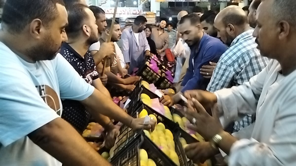 مزاد المانجو بسوق المستقبل بالإسماعيلية، فيتو