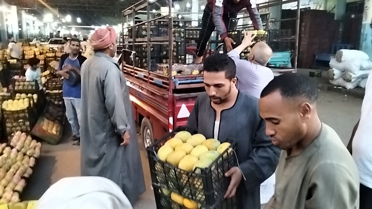 مزاد المانجو بسوق المستقبل بالإسماعيلية، فيتو