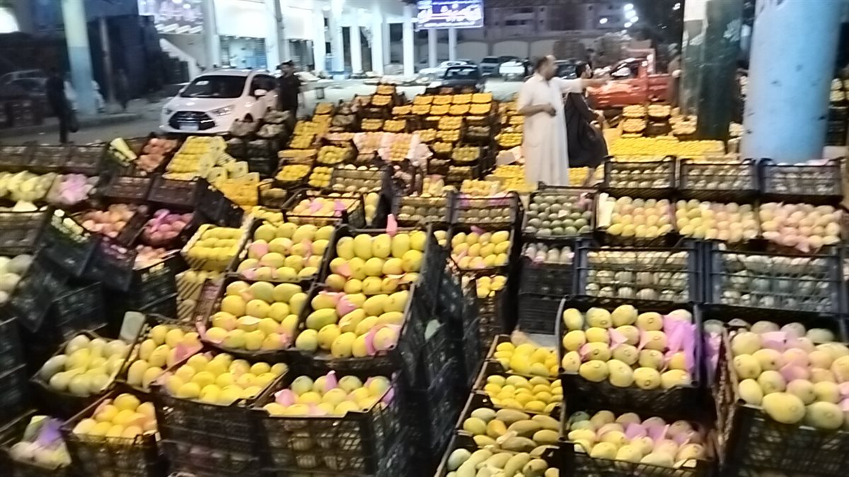 مزاد المانجو بسوق المستقبل بالإسماعيلية، فيتو