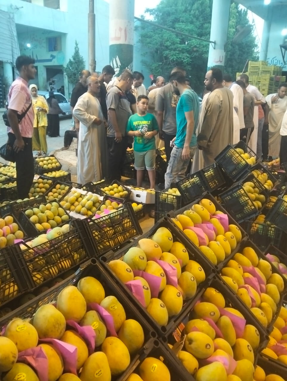 مزاد المانجو بسوق المستقبل بالإسماعيلية، فيتو