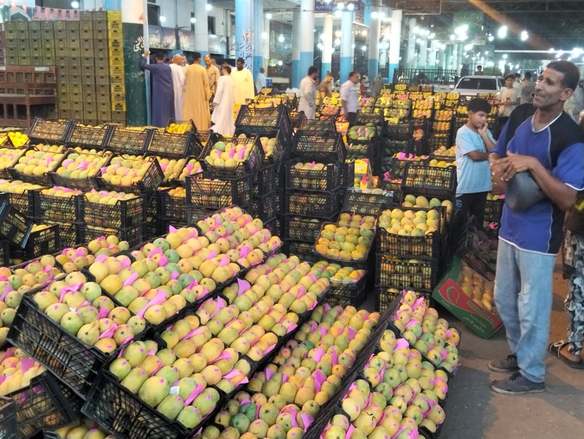 مزاد المانجو بسوق المستقبل بالإسماعيلية، فيتو