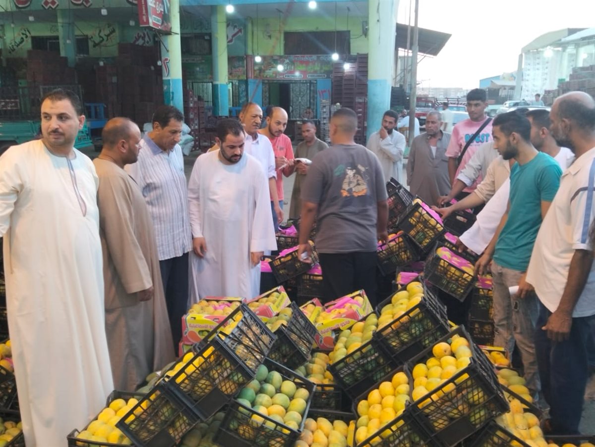 مزاد المانجو بسوق المستقبل بالإسماعيلية، فيتو