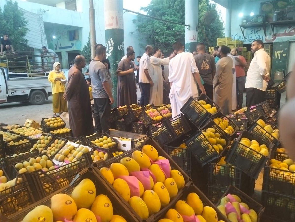 مزاد المانجو بسوق المستقبل بالإسماعيلية، فيتو