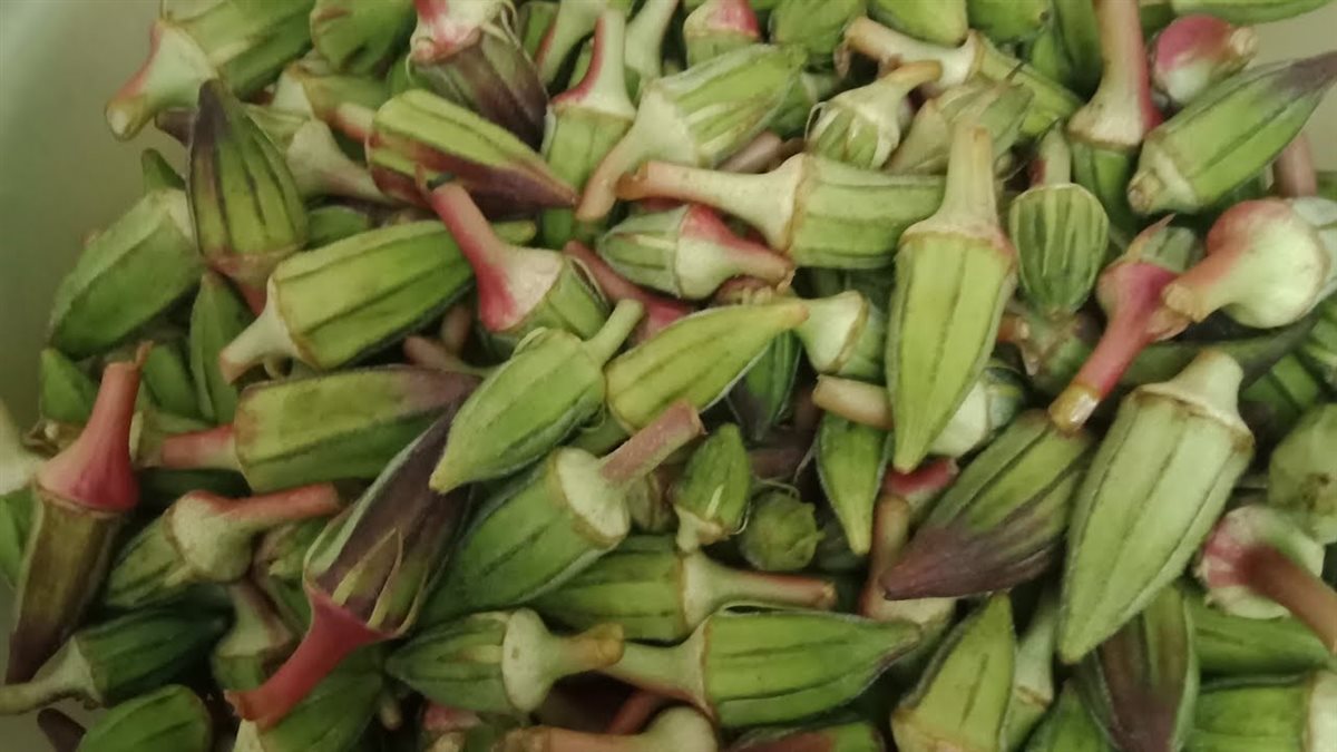 فوائد البامية للصحة 