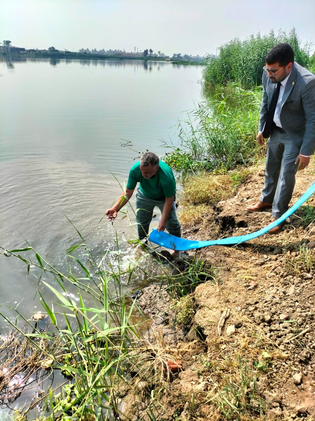 جانب من إنزال الزريعة، فيتو