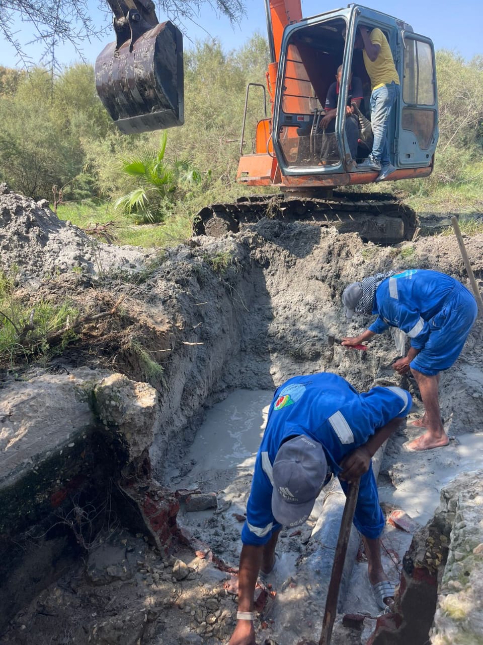 جانب من أعمال الإصلاح، فيتو