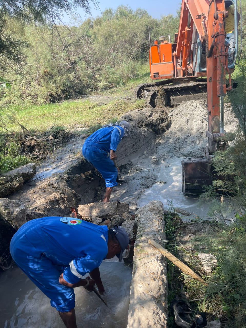 جانب من أعمال الإصلاح، فيتو