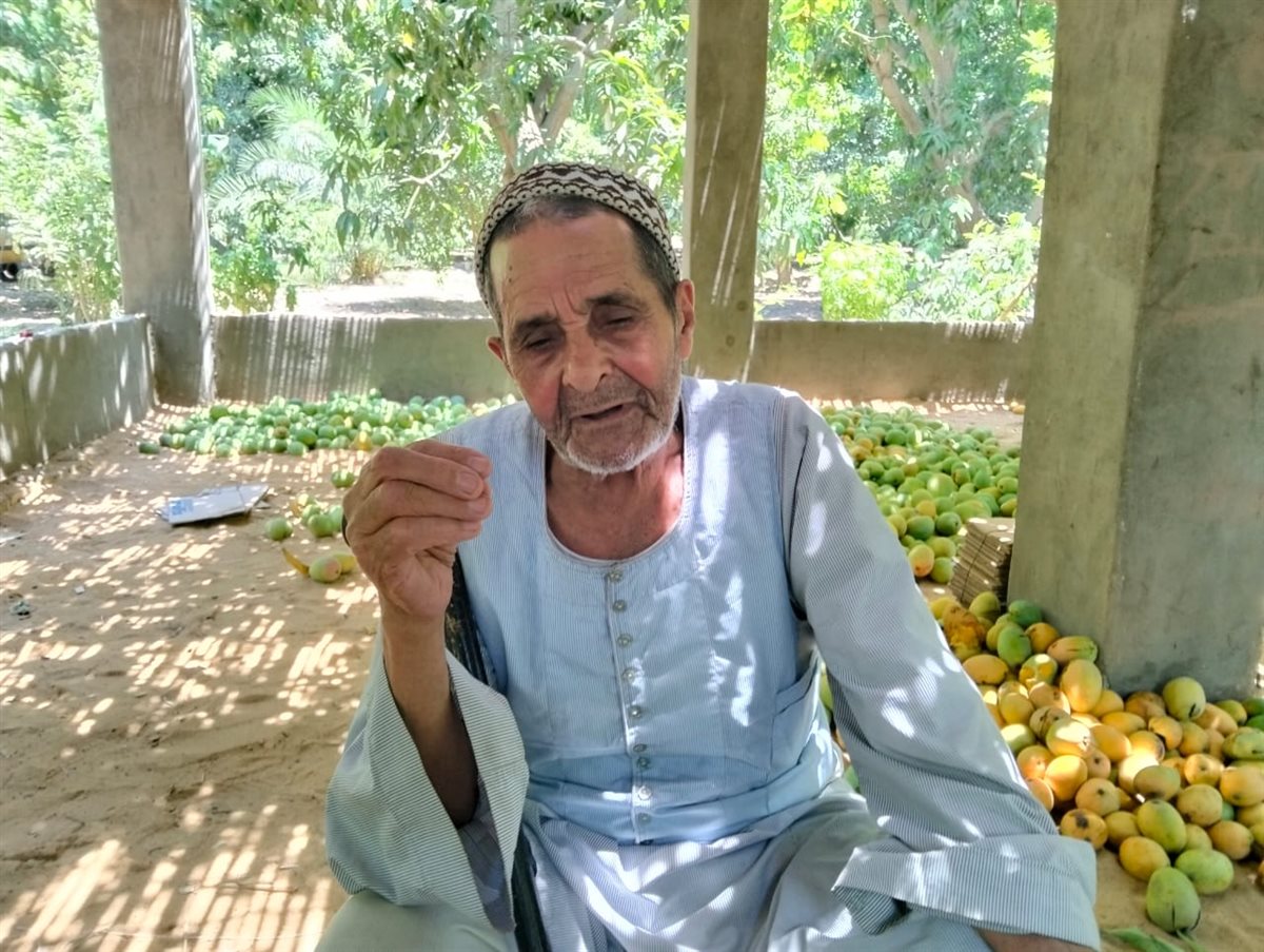 الجد على منصور، فيتو