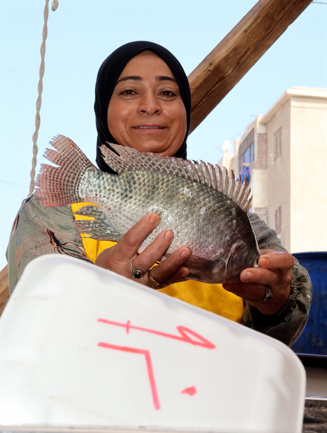 جانب من فعاليات المبادرة، فيتو