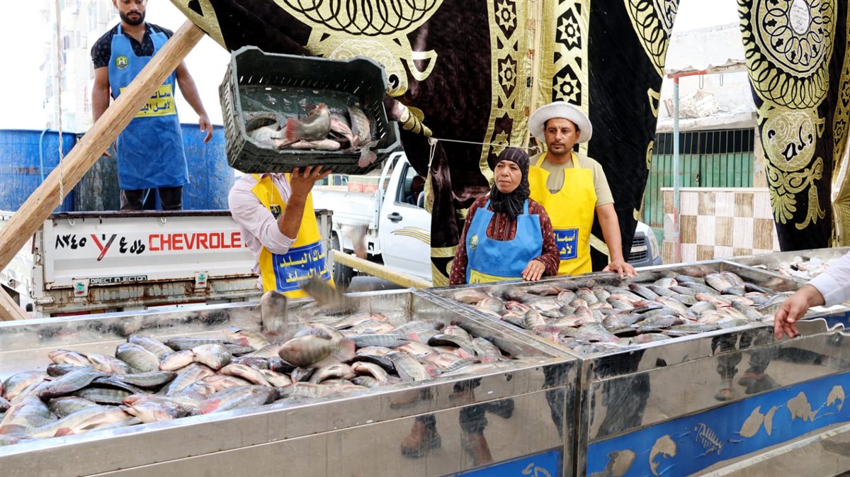 جانب من فعاليات المبادرة، فيتو