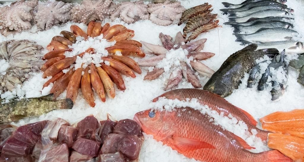 <strong>سعر السمك اليوم </strong>