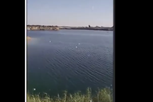 بحيرة البهنسا بالمنيا، فيتو