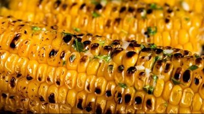 فوائد الذرة المشوي 