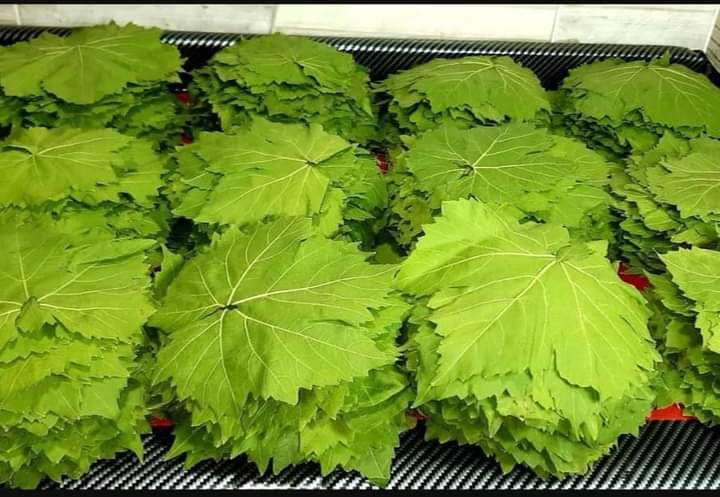 <strong>سعر الخضار اليوم، فيتو</strong>