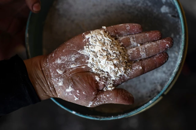 سموم في الدقيق، يفتو