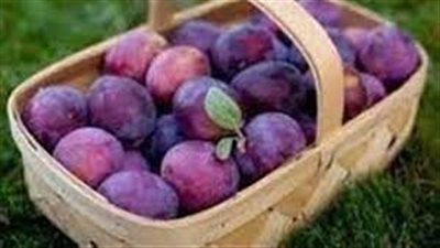 فوائد البرقوق للصحة 