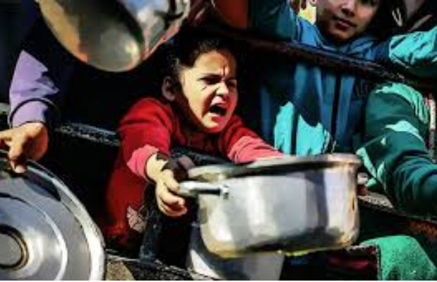 المجاعة في غزة، فيتو