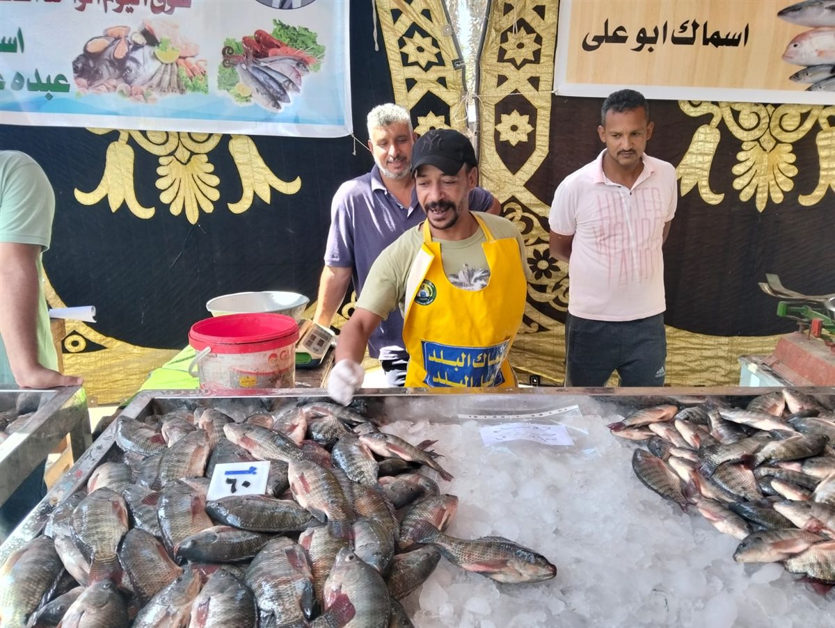 جانب من فعاليات المبادرة، فيتو