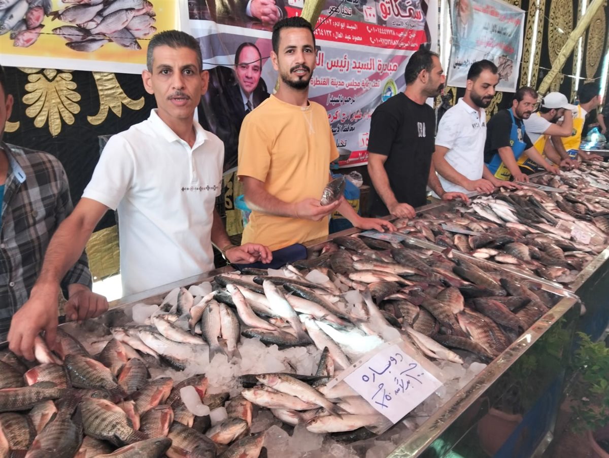 جانب من فعاليات المبادرة، فيتو