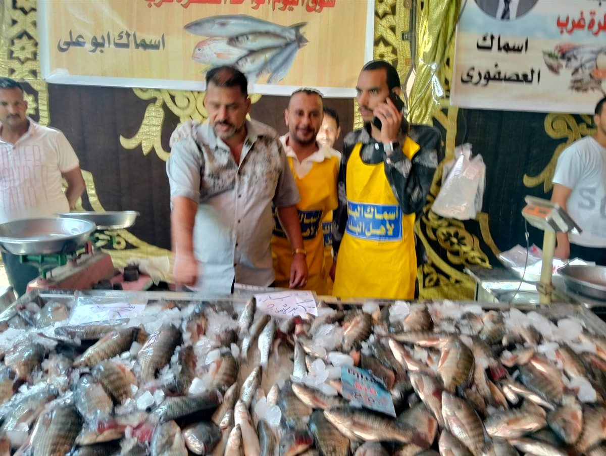 جانب من فعاليات المبادرة، فيتو