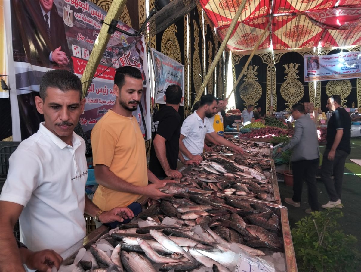 جانب من فعاليات المبادرة، فيتو