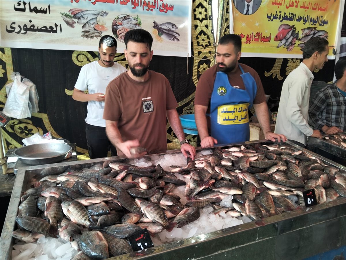 جانب من فعاليات المبادرة، فيتو