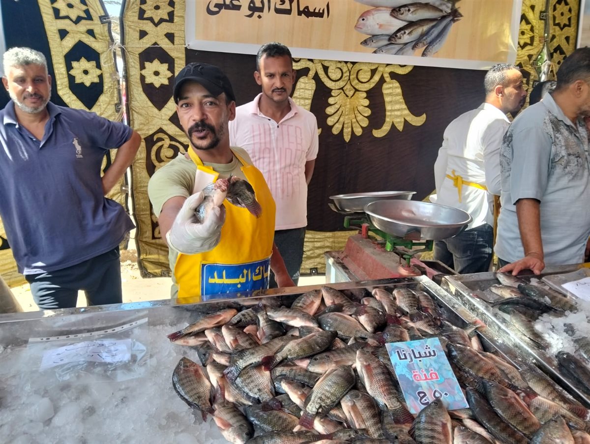 جانب من فعاليات المبادرة، فيتو