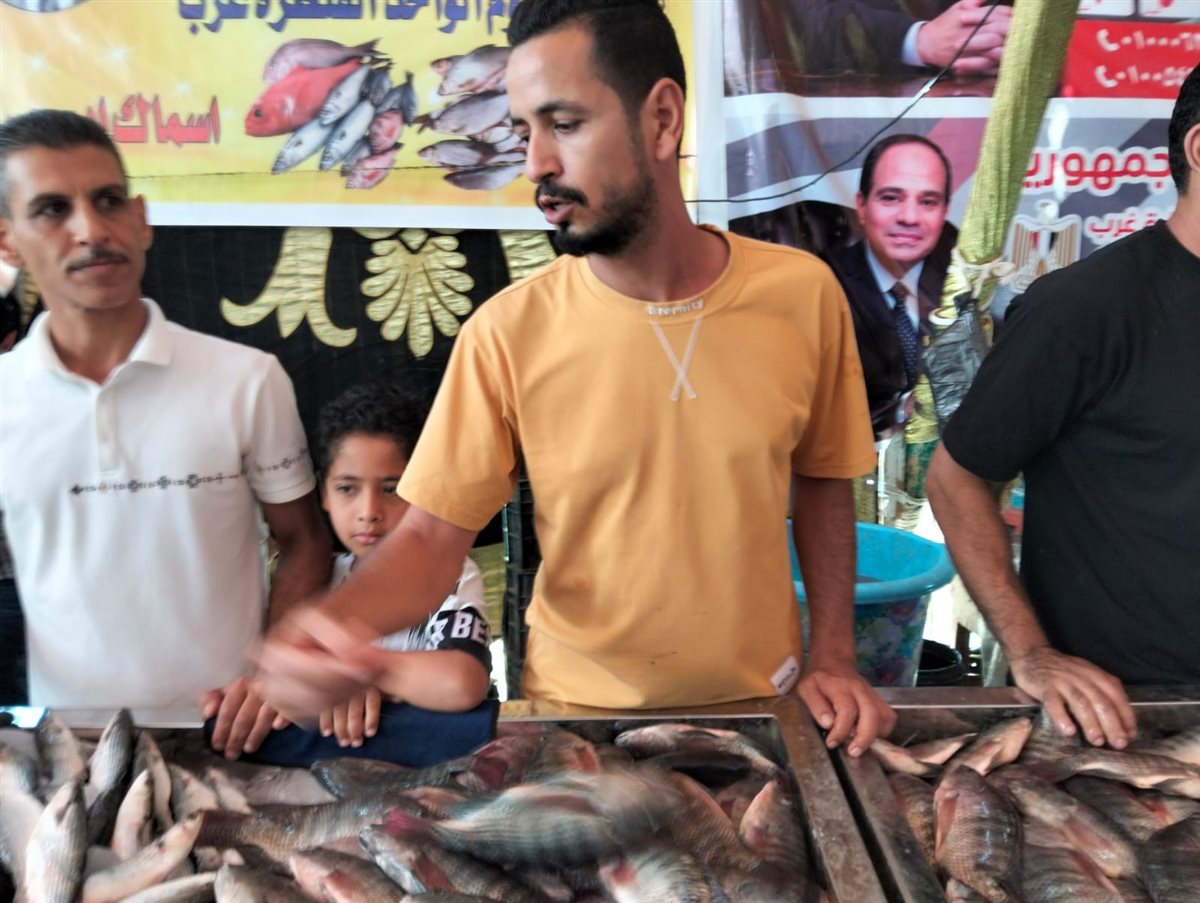 جانب من فعاليات المبادرة، فيتو