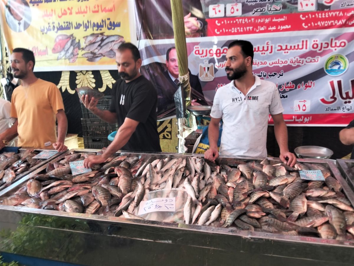 جانب من فعاليات المبادرة، فيتو