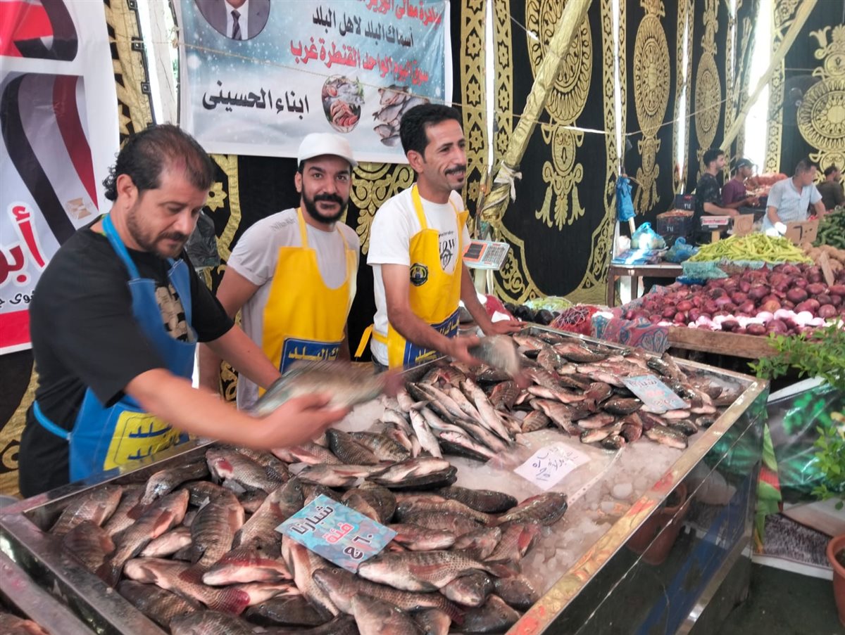 جانب من فعاليات المبادرة، فيتو