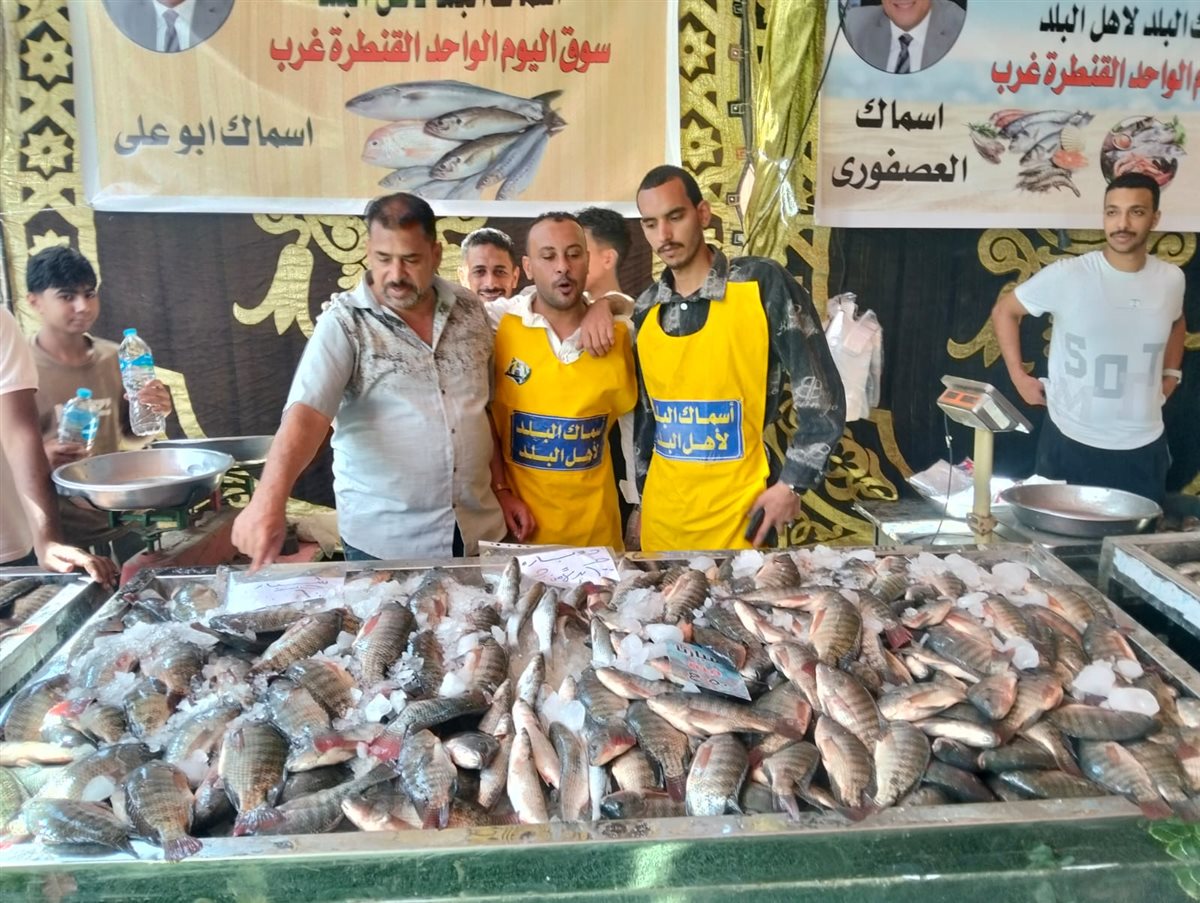 جانب من فعاليات المبادرة، فيتو